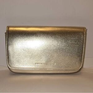 Chantecaille Champagne Gold Snap Flap Clutch Bag